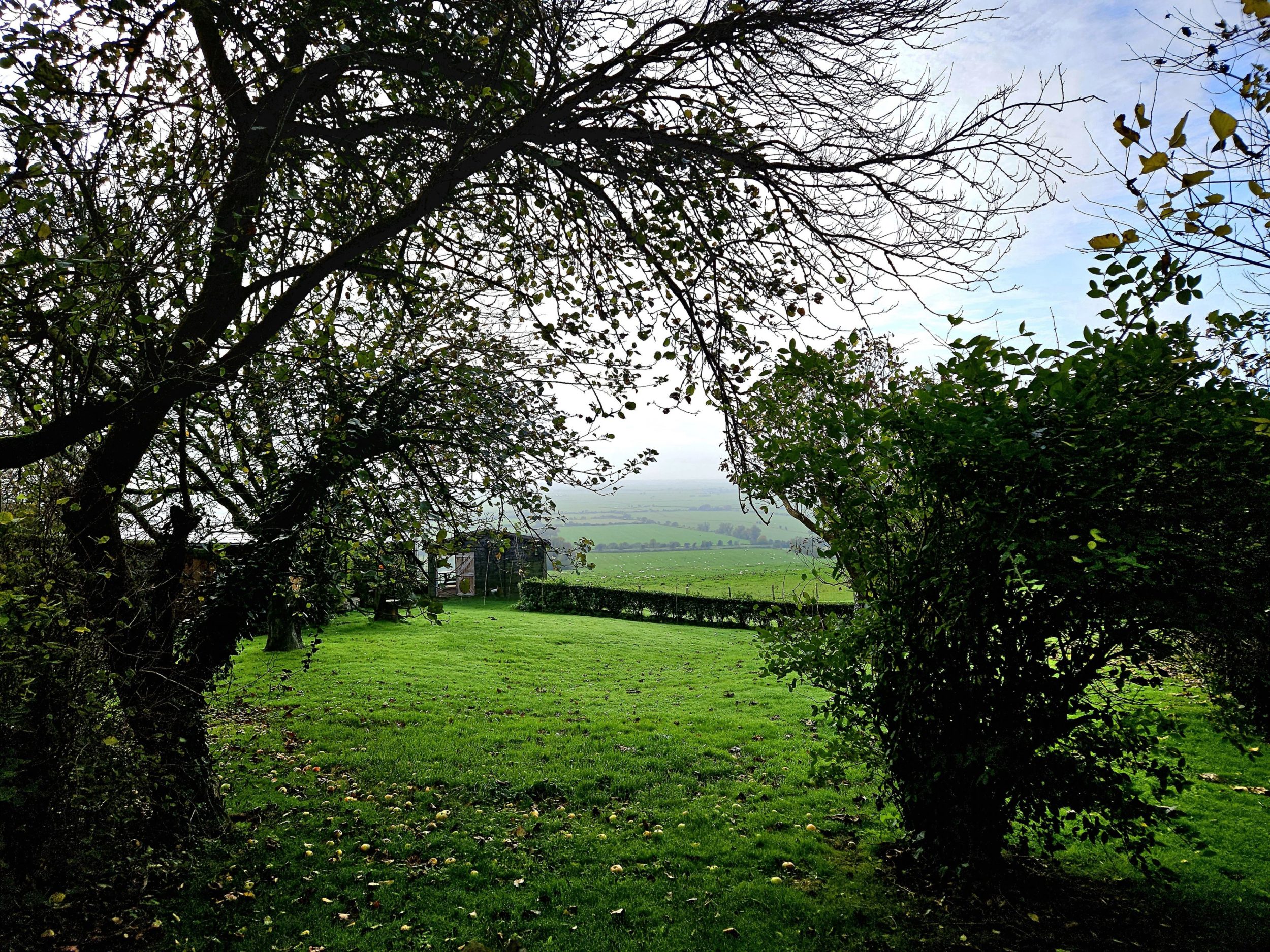 Step outside into a wonderfully green setting, where mature trees frame glimpses of the rolling countryside and sea beyond.