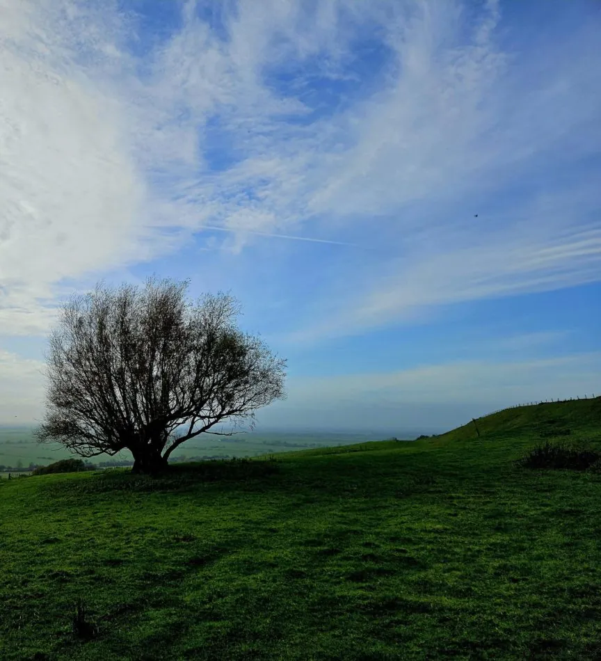 Wander across open countryside beneath huge Kent skies, where the green landscape stretches away towards the coast.