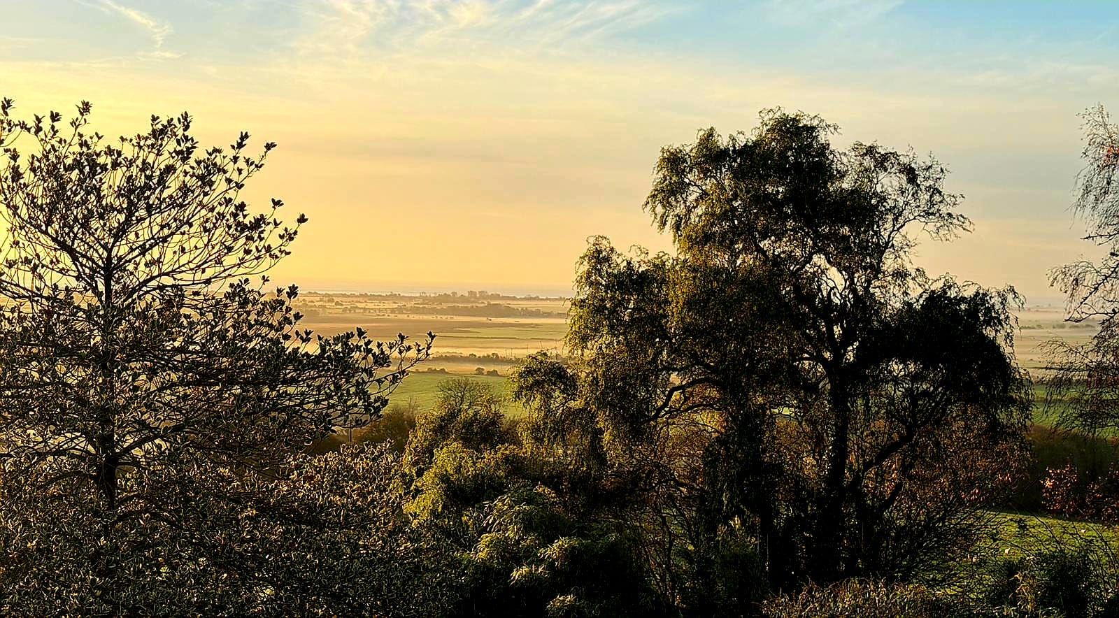 Gaze through the trees towards Romney Marsh and the distant coast as the morning light turns the landscape gold.