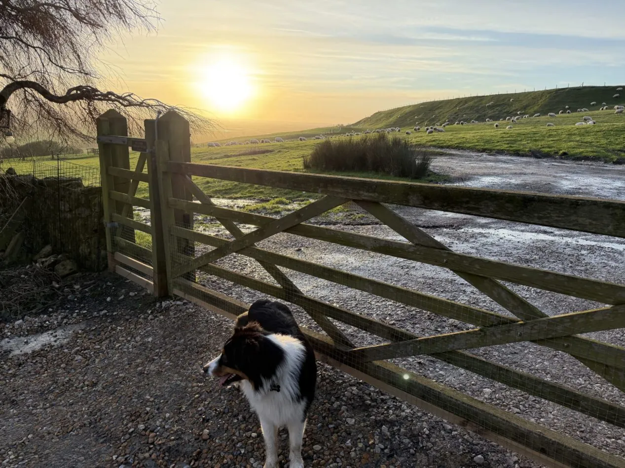 Bring your four-legged companion along to explore Honeypot Farm, enjoy nearby walking routes and watch the sun sink over the surrounding fields.